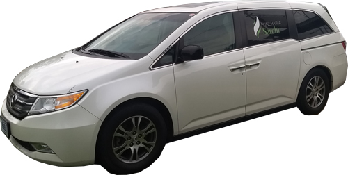 Funeraria Sarchí - Carroza 1