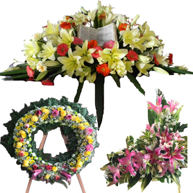 Funeraria Sarchí - Floristería