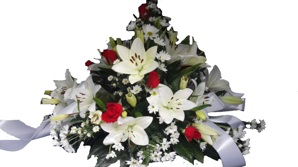 Funeraria Sarchí Tributo 